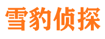 抚远市私家侦探